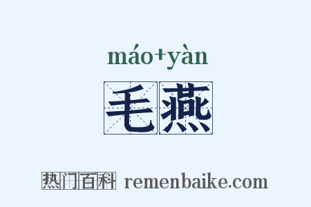 毛燕是什么意思的图片